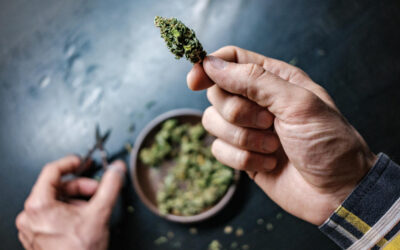 Cannabis Use Disorder