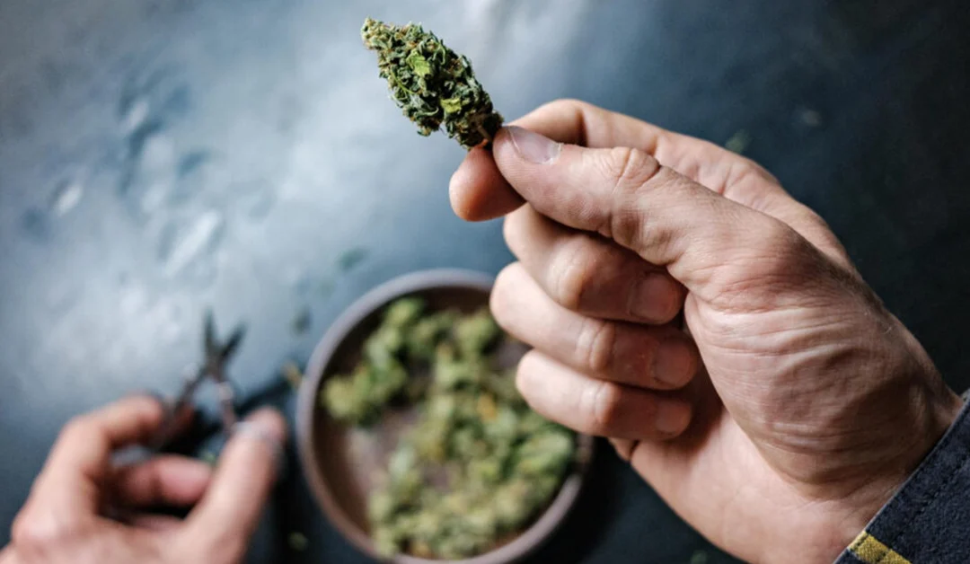 Cannabis Use Disorder